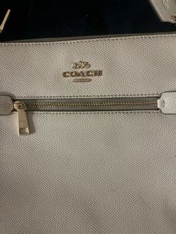 Coach Teri mini crossbody purse