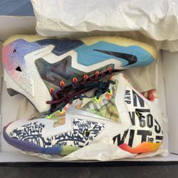 What The LeBron Sz 10.5