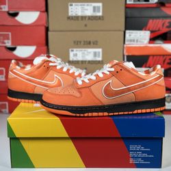 Size 11.5M - Nike SB Dunk Low Concepts 'Orange Lobster'