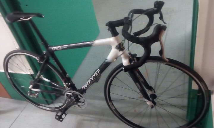 2006 giant sale tcr limited