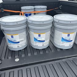 Pintura Flet Y Un Semigloss 