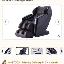 Cozzia Massage Chair
