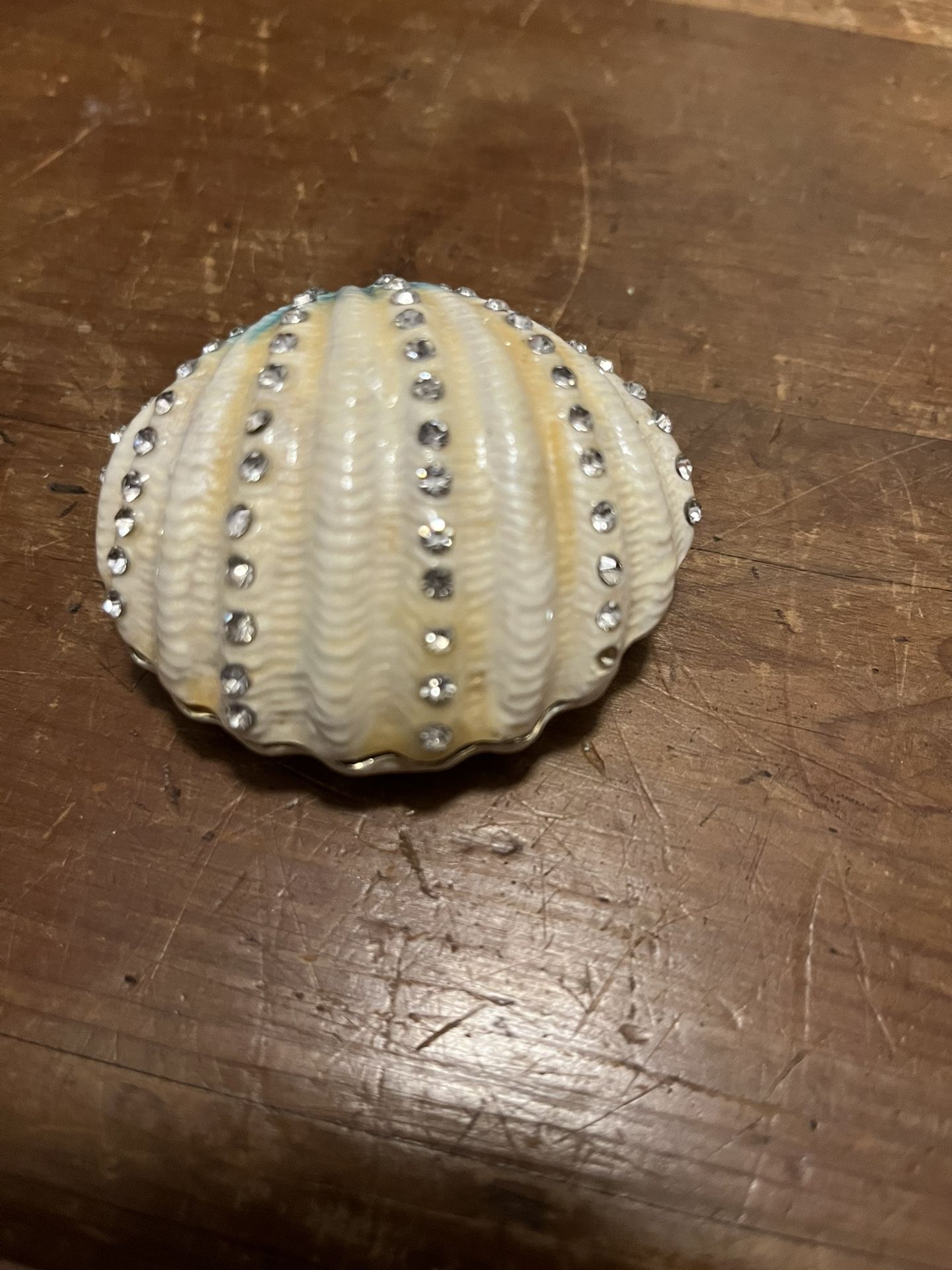 Shell Trinket Box
