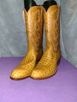 San Antonio's Luuchesse Full Quill Ostrich 13 AA