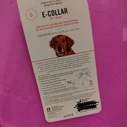 Brand New E-collar In Spring Hill