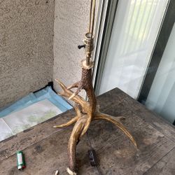 Antlers Lamp