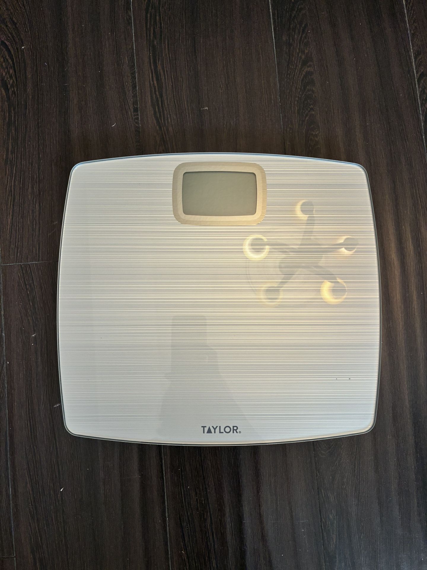 Taylor Digital Scale