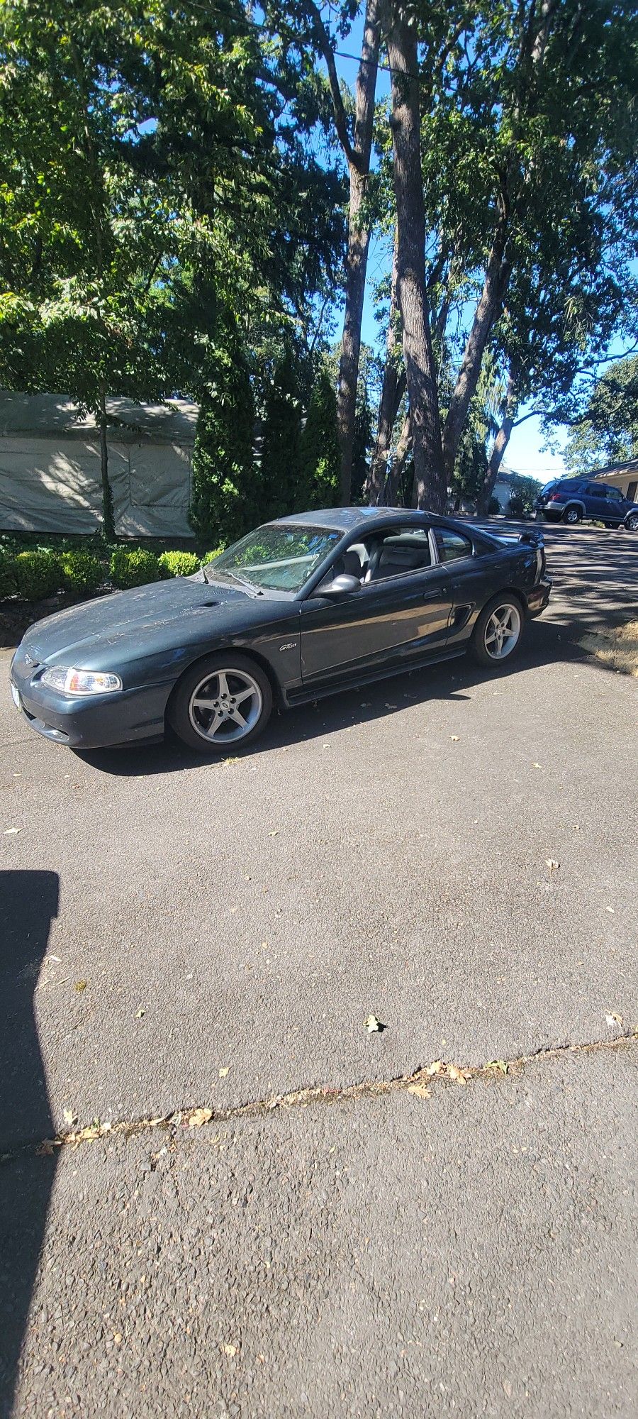 1998 Ford Mustang