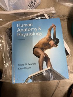 Human Anatomy & Physiology Eight Edition By Elaine N. Marieb And Katja Hoehn