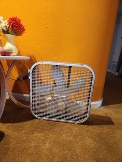 Box Fan