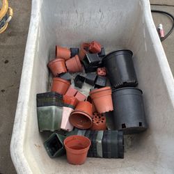 FREE – Assorted Plastic Plant Pots (Nursery Pots)