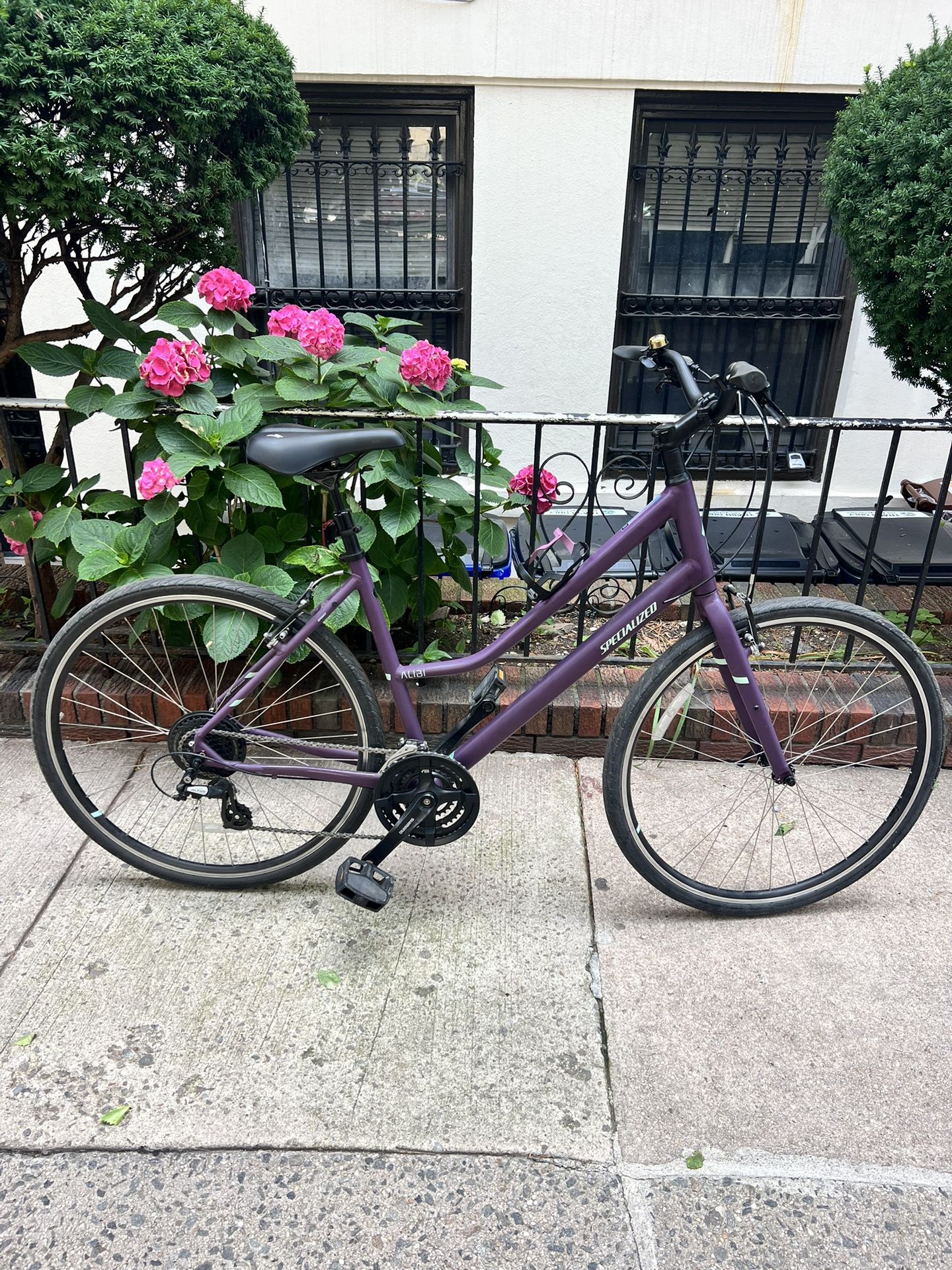 Large Specialized Alibi Sport Step Through MUST GO ASAP