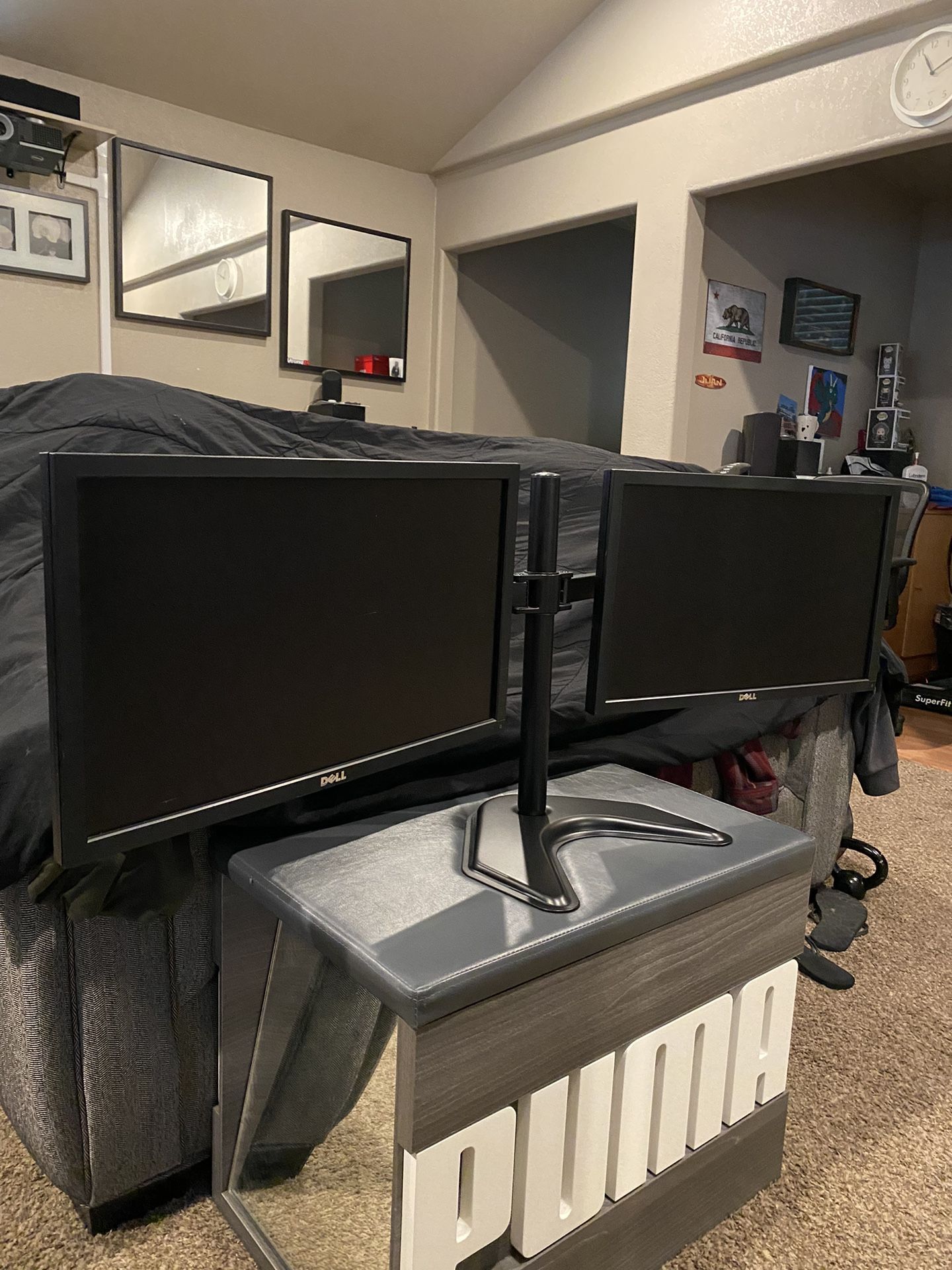 Dell 21” Dual Monitors