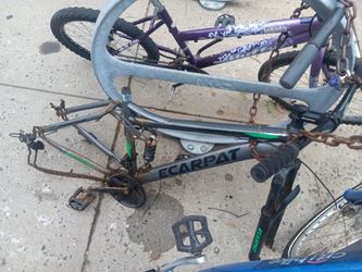 Bike frame