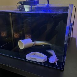 Aquarium For Sale