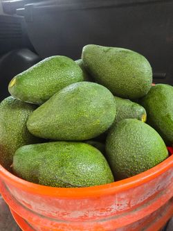 Aguacates