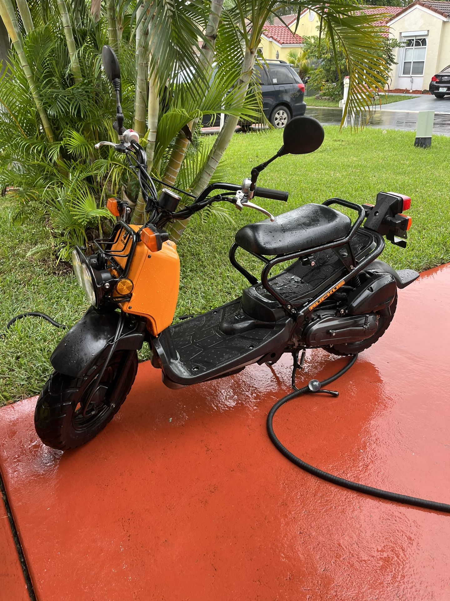 2011 Honda Ruckus