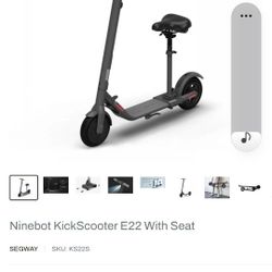 Electric Scooter 