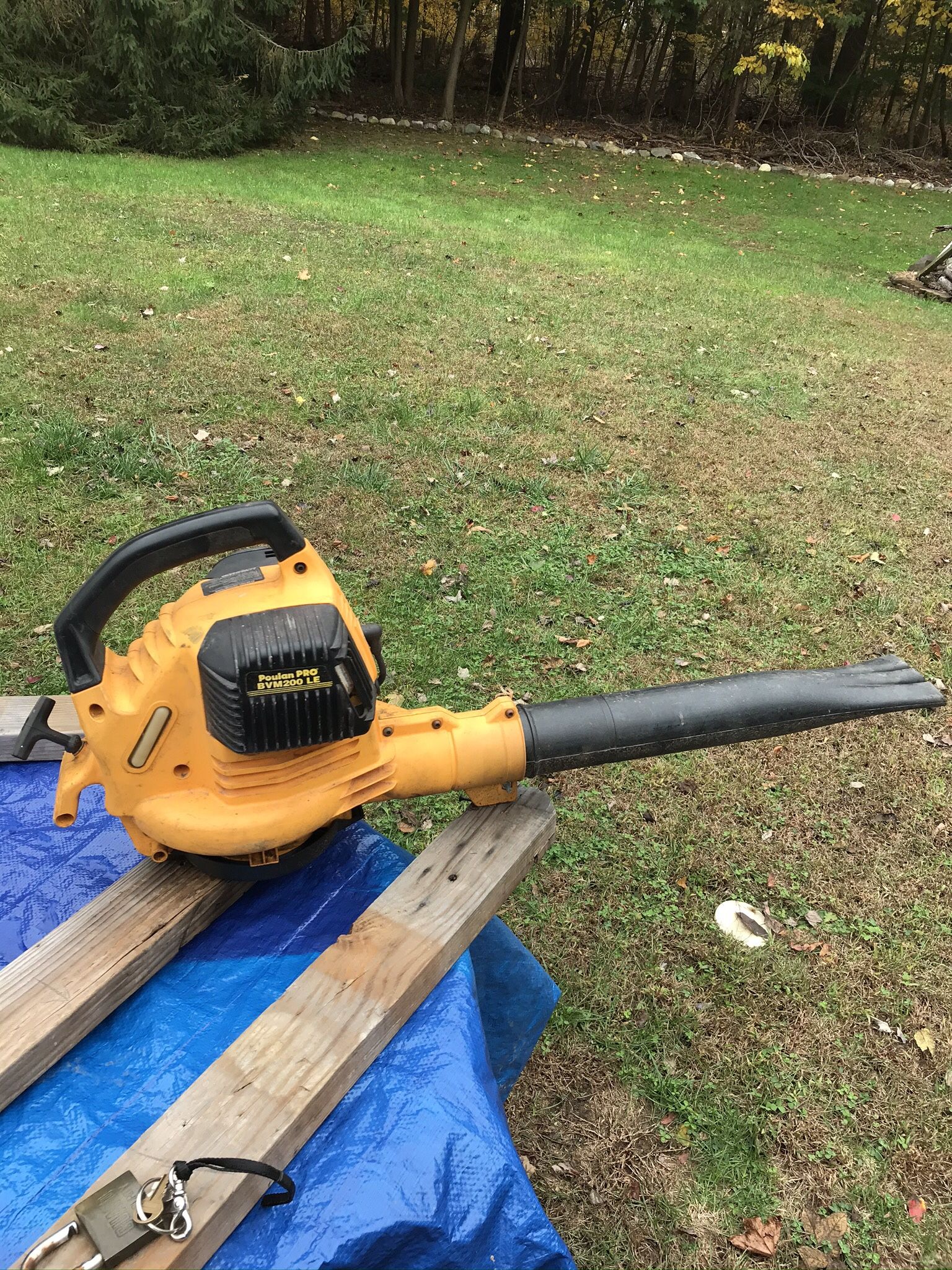 Leaf Blower