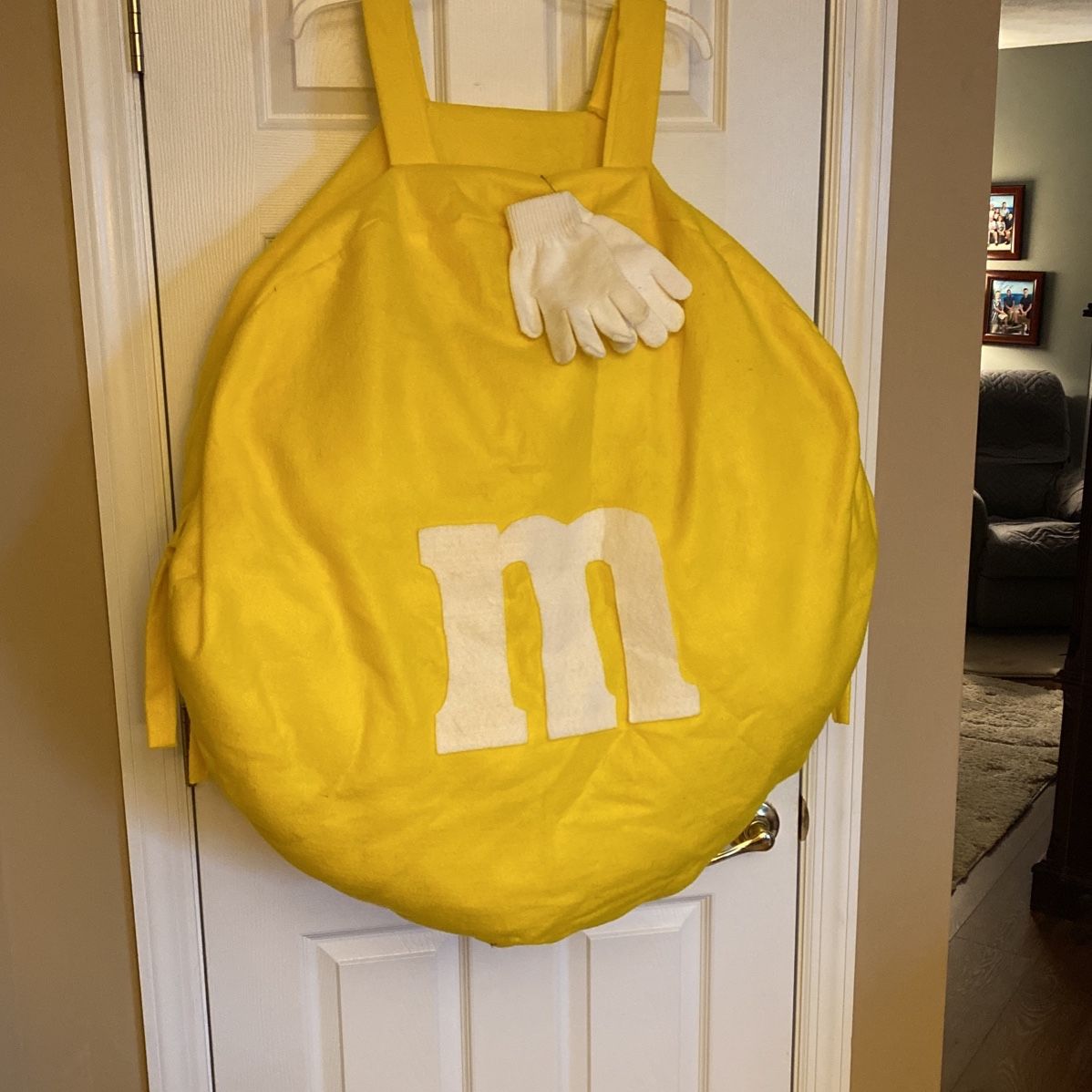 M&m Bag Costume