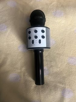 Karaoke microphone