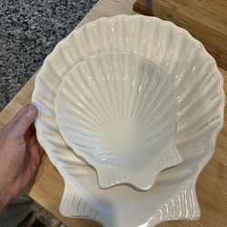Shell serving dishes