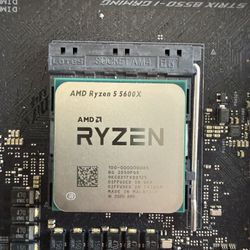 AMD Ryzen 5 5600x 