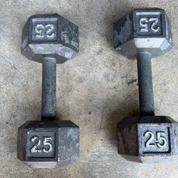 25 Lb Dumbells x2