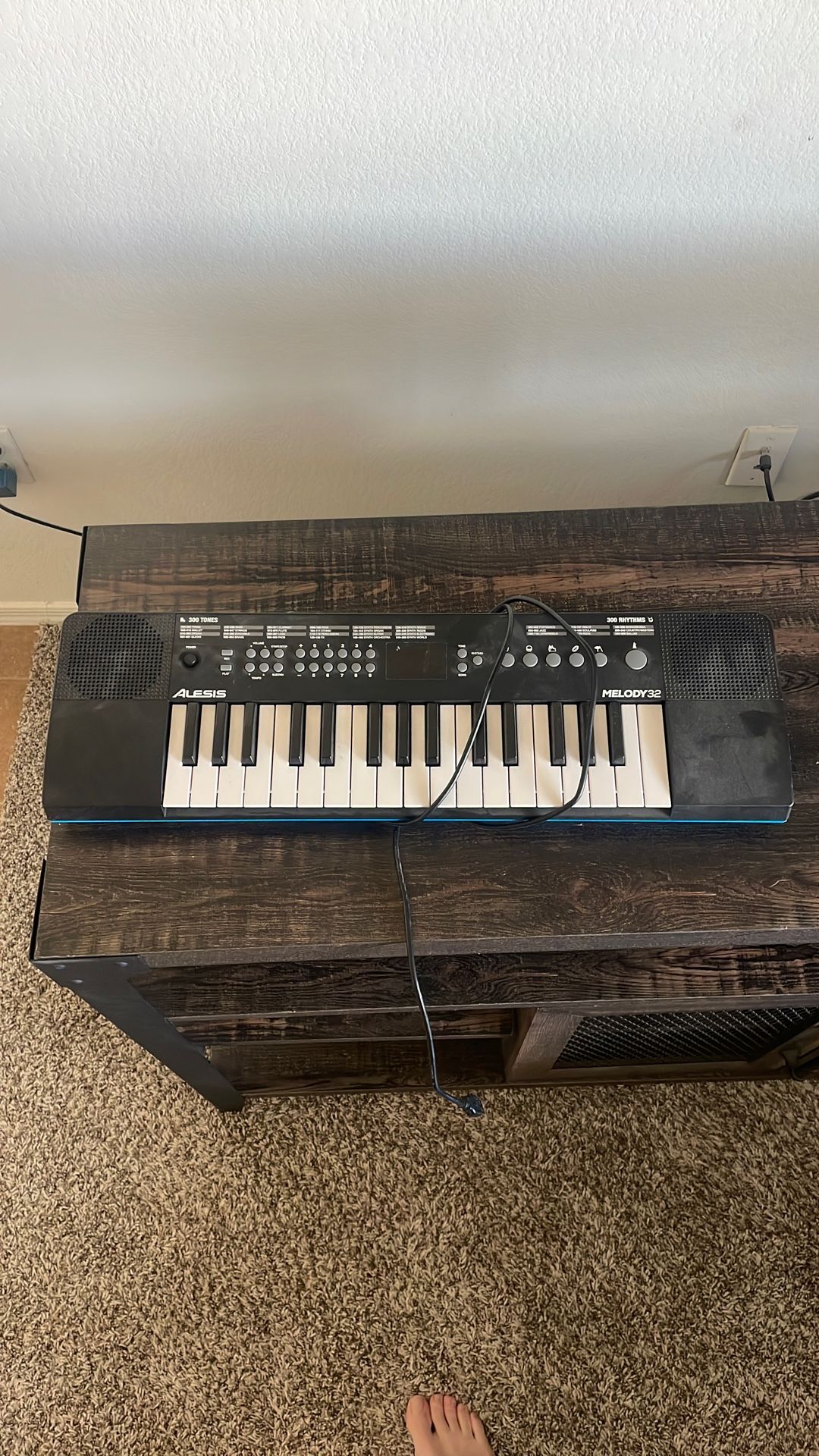 Alesis Mini Keyboard