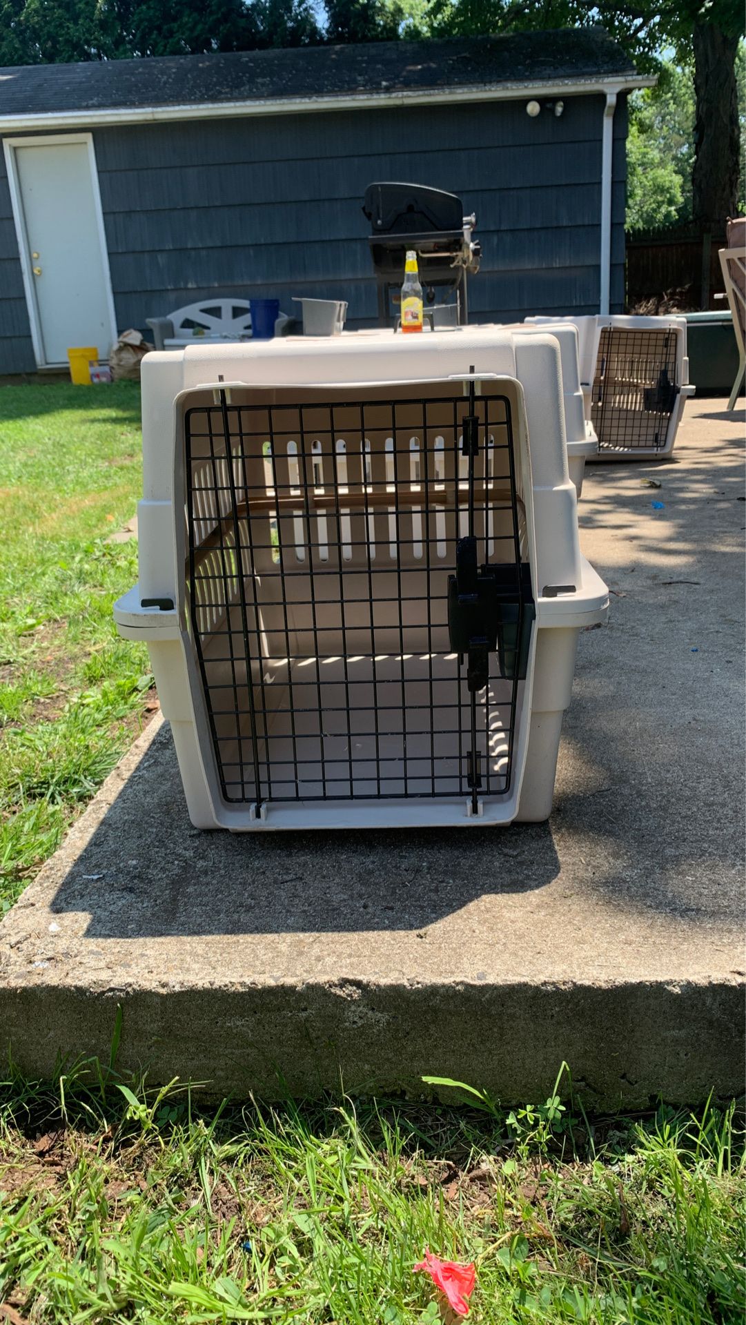 Pet Carrier