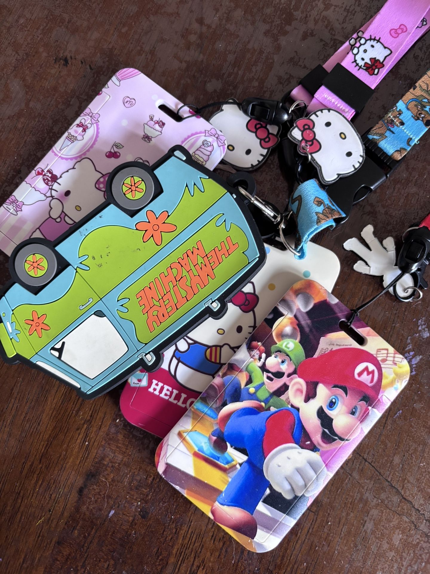 Lanyards for Passes