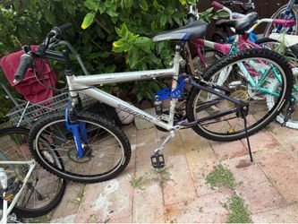 TP3 Triax Mountain Bike