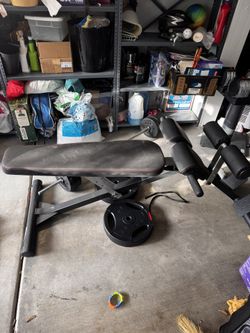 Inclined Bench Leg Raise