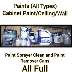 Paints And Paint Remover/Cleaners