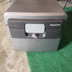 Sentry Safe Waterproof Fire-Resistant Chest & Files