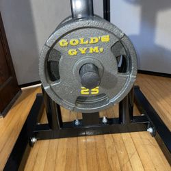 400 Pounds Olympic Weight Plates with Tree