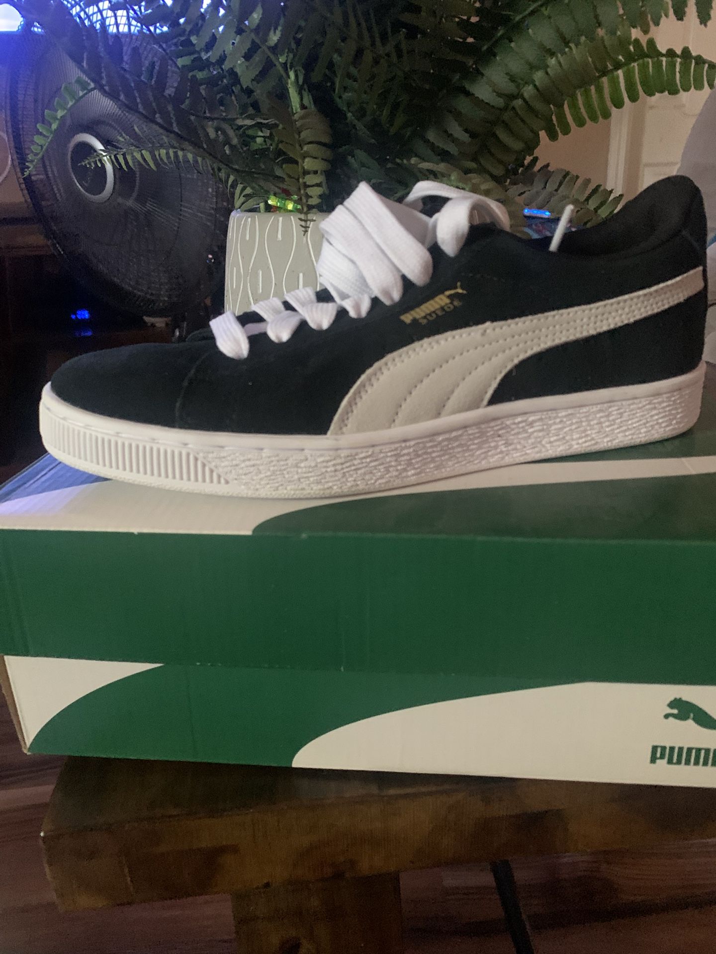Pumas 