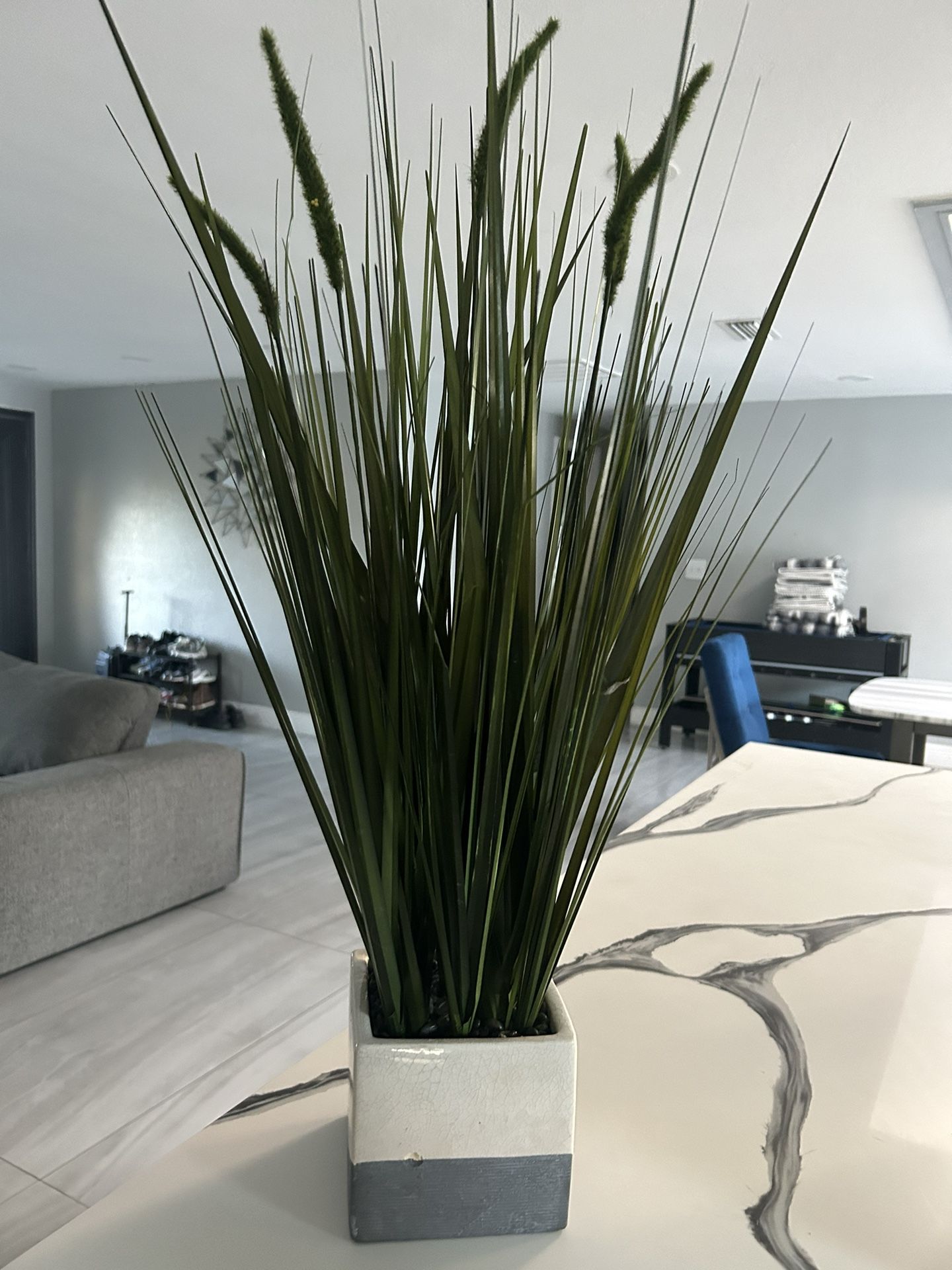 Fake Plant