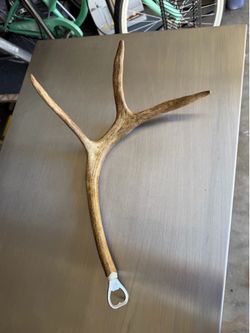 Rare Antler Bottle Opener