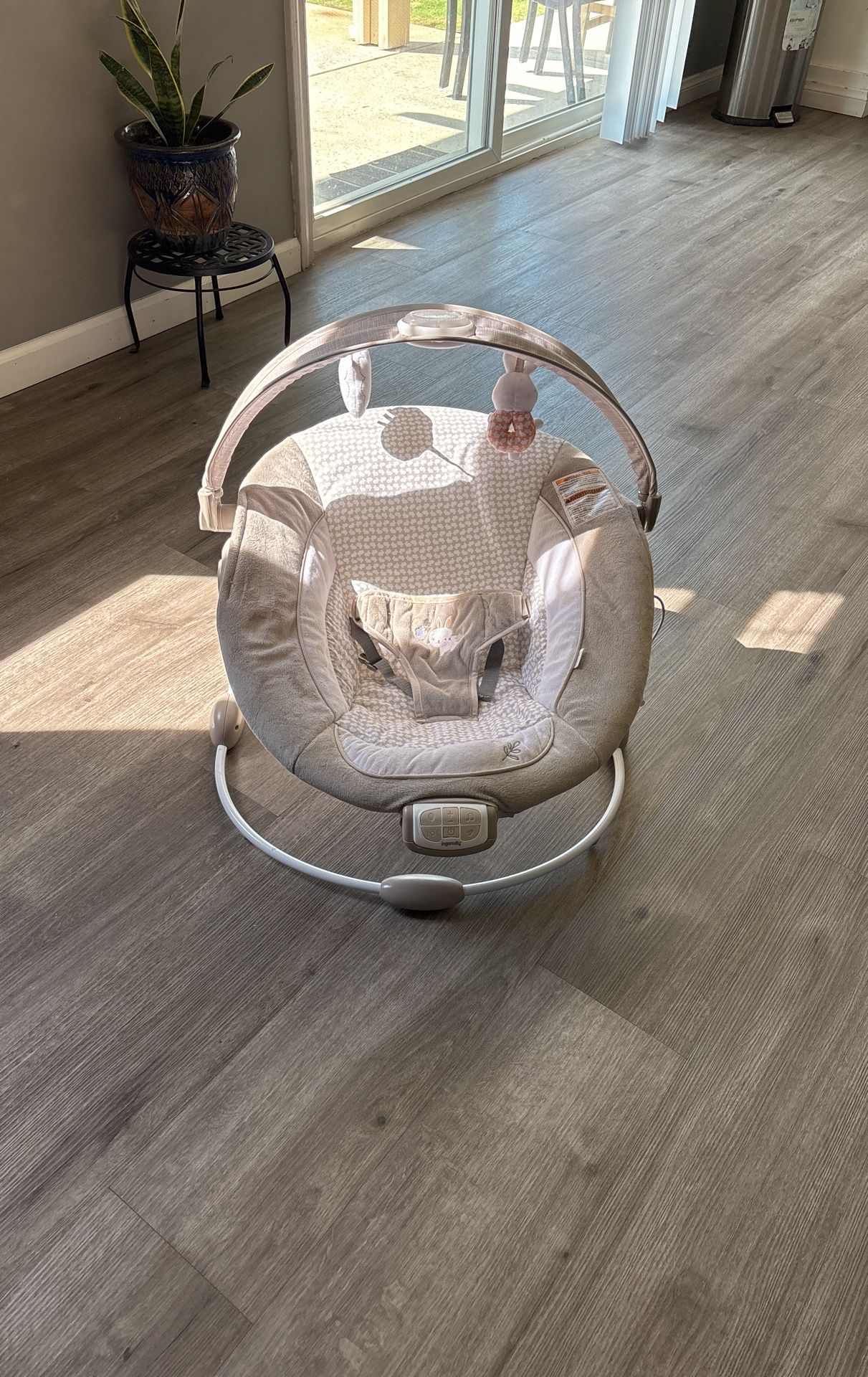 Baby Bouncer
