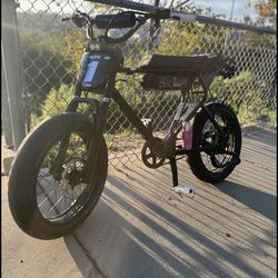 Black Macfox x1s 2025