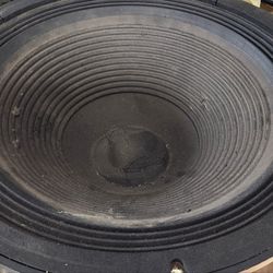 Pas 18 inch woofer  heavy