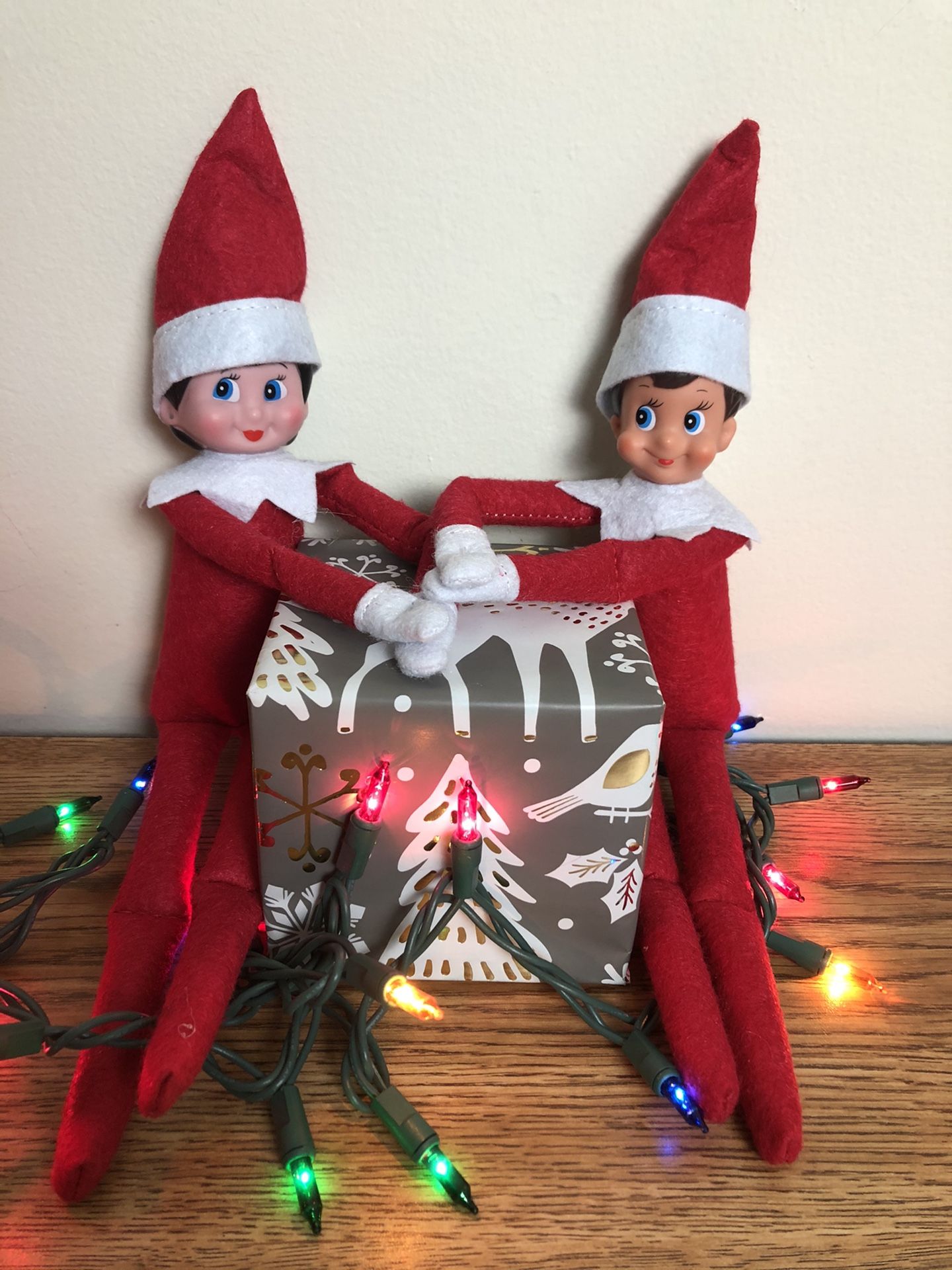 ELF ON THE SHELF COUPLE BOY AND GIRL DOLL