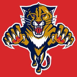 4 Lower Bowl Dolphin Tickets For 2 Panther Cup Tickets ?