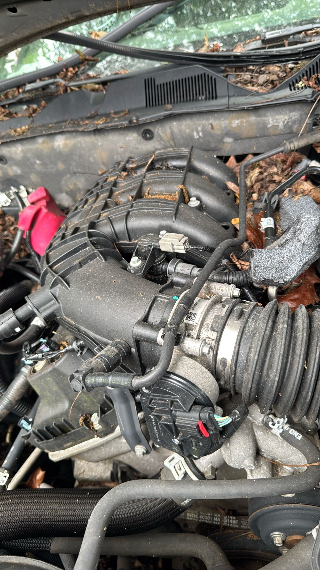 2014 Ford Mustang Engine. 96k. You Need Remove It. 