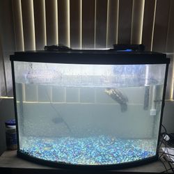 Turtle Tank
