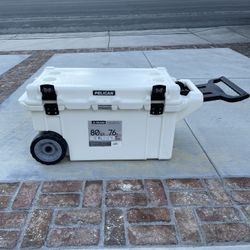 Cooler/ Ice Chest