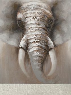 Elephant Canvas