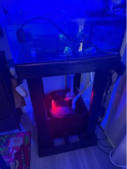 Frag tank