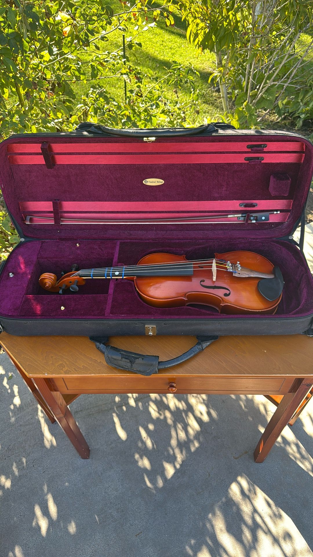 Viola - Full Size With  Case
